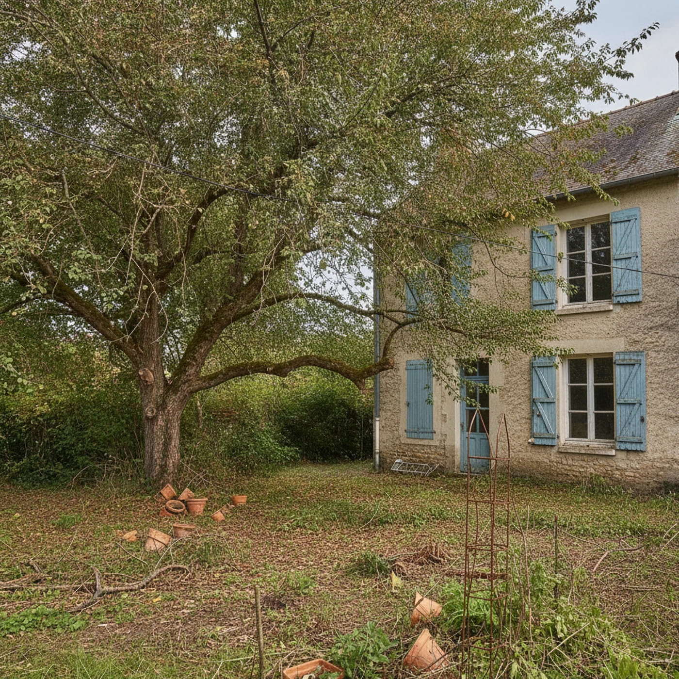 Arbre allégé après taille sanitaire à Pont-Sainte-Marie